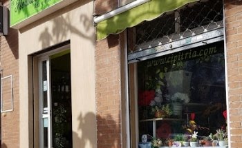 Floristería Cipitria