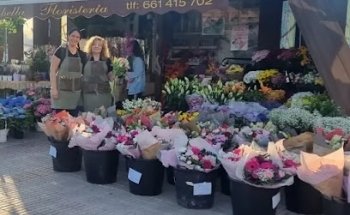 Floristería Las Tablas Isabella