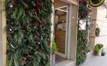 El Jardin de San Marcos