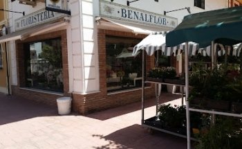 Floristería Benalflor
