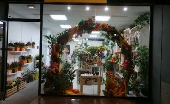 Floristería Kentia