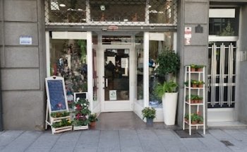 Floristería Florylipa