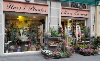 Floristeria Mari Carmen. Flors i Plantes