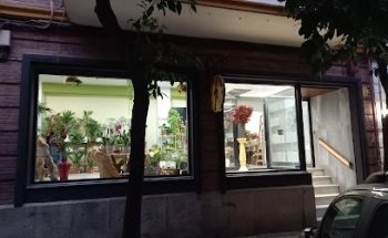 Floristerias Grupo Disenverd