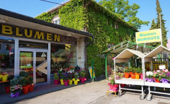 Blumen Wukoutz
