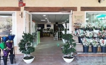 Floristería La Campana Santa Lucía