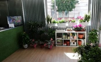 Floristería Divina Pastora