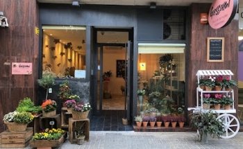 Gessamí - Floristería Sabadell
