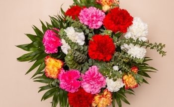 Flores y Plantas Gloria