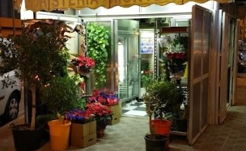 Floristería Montequinto