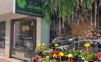 Las Camelias Floral Design