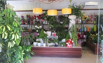 Floristería Eiviss Garden