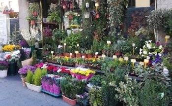 Floristería Jardín de Sala