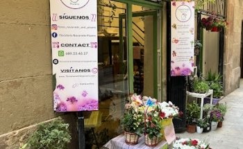 Floristería Navarrete&Pizarro