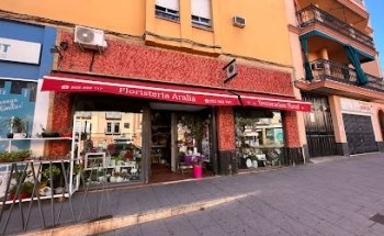 Floristería Aralia