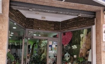 Floristeria La Sirena