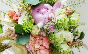 Pura Vida flors i plantes