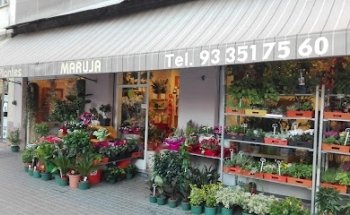 Flors i Plantes Maruja