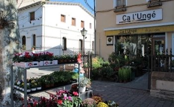 Floristeria Ca l´Ungé