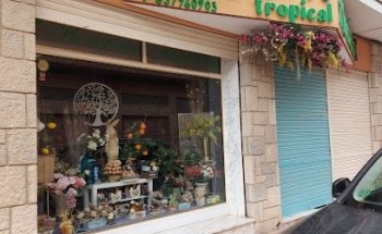 Floristeria Tropical