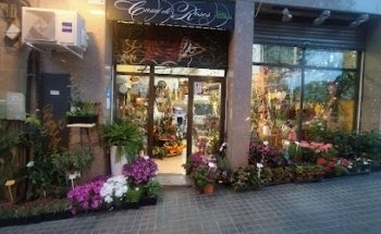 Taller Floral Cami de Roses