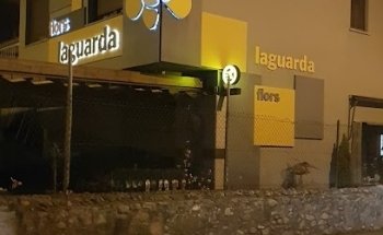 Flors Laguarda