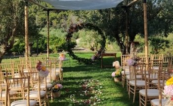 Pilar i Mónica, floristes