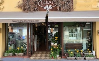 LINNEO Floristas