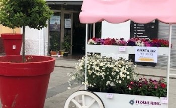 FLOWERING ????????????????????????????????????í???? enviar flores a domicilio a Armilla Granada