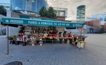 Floristería amparo sucursal aluche