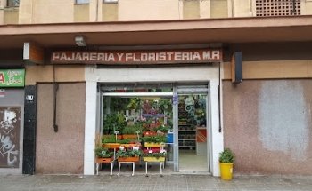 Ocelleria Floristeria Rodríguez