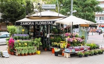 Zamora Floristas
