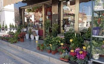 Floristería Verdegal