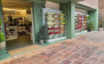 Mon Parnasse Flores - Avenida de Europa Pozuelo de Alarcón