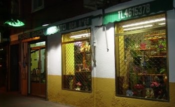 García-Morato Floristas