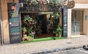 La Casa de las Flores - Floristería en Alicante