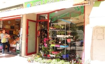 Flores El Jardín del Duende