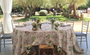 Floristería Carol Alzira