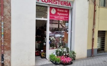 Enviar flores Madrid floristeria Rosas Agavanzal