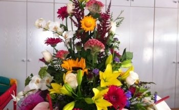 Floristería Aguadulce