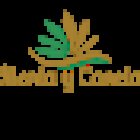 Floristería Menta y Canela. Flores a domicilio en Madrid