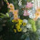 Floristería Barajas