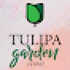 A Tulipa - Garden Center