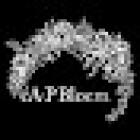 A.P Bloem