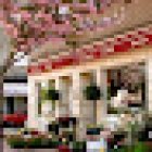 Floristería Marqués