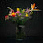 Bloemen Bezorgen Groningen