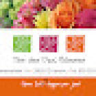 Tom den Daas Bloemen |Utrecht| Premium Flowers????