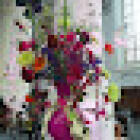 Fiori Bloemen????