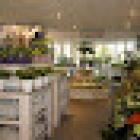 Flowers & Plants Van Beest Vathorst