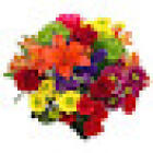 FlowerZ